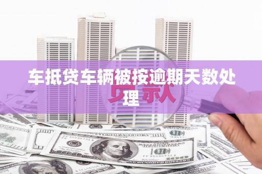 广元车抵贷车辆被按逾期天数处理
