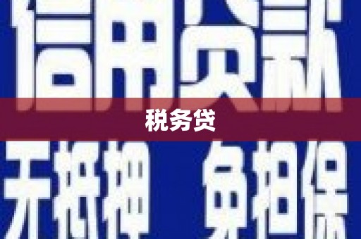 襄城税务贷