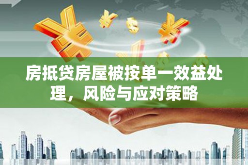 岭东房抵贷房屋被按单一效益处理，风险与应对策略
