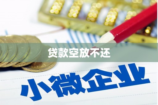 辛集贷款空放不还