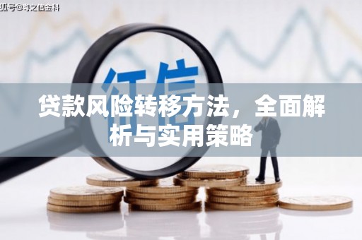 东辽贷款风险转移方法，全面解析与实用策略