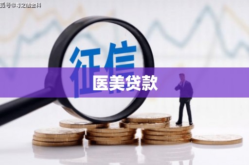 天涯医美贷款