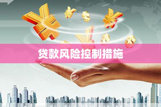 天涯贷款风险控制措施