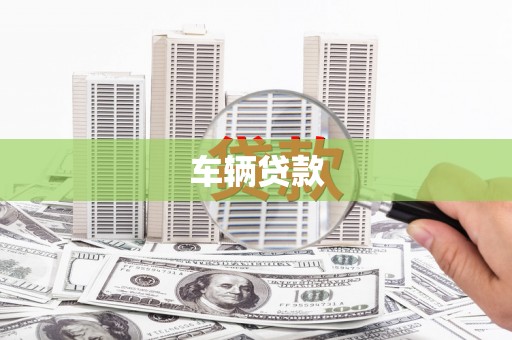 天心车辆贷款