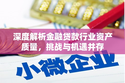 珙县深度解析金融贷款行业资产质量，挑战与机遇并存