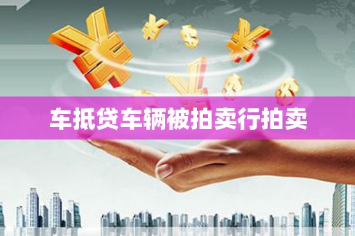 金台车抵贷车辆被拍卖行拍卖