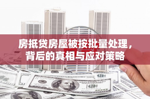 行唐房抵贷房屋被按批量处理，背后的真相与应对策略