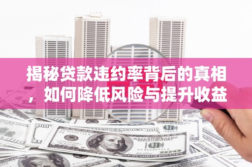 济宁揭秘贷款违约率背后的真相，如何降低风险与提升收益