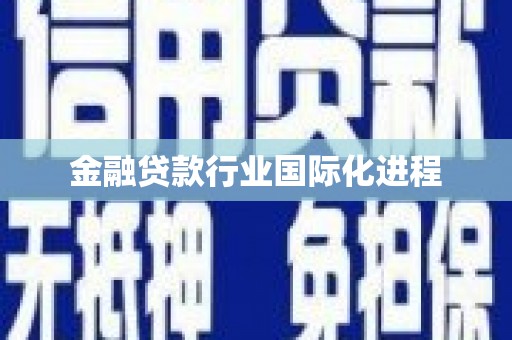 海兴金融贷款行业国际化进程