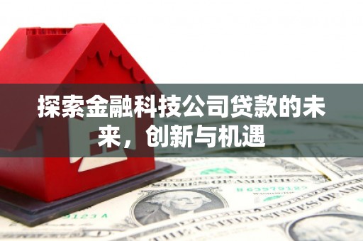 凤山探索金融科技公司贷款的未来，创新与机遇
