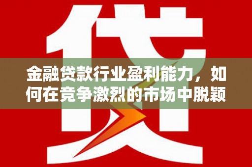 江川金融贷款行业盈利能力，如何在竞争激烈的市场中脱颖而出？
