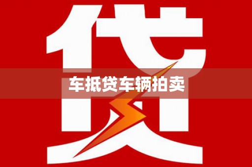 博湖车抵贷车辆拍卖