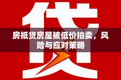 连平房抵贷房屋被低价拍卖，风险与应对策略