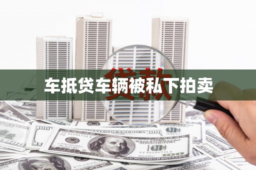镇远车抵贷车辆被私下拍卖