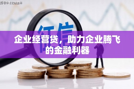 阿拉尔企业经营贷，助力企业腾飞的金融利器
