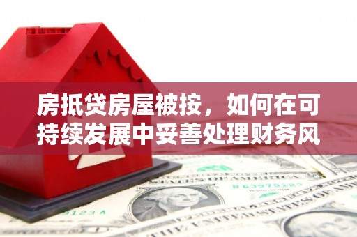 确山房抵贷房屋被按，如何在可持续发展中妥善处理财务风险？