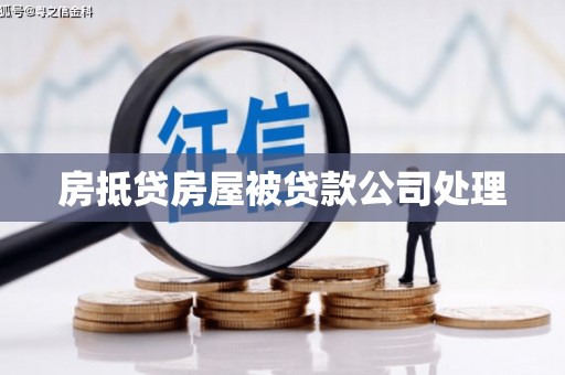 确山房抵贷房屋被贷款公司处理