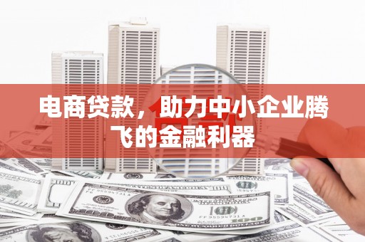 天柱电商贷款，助力中小企业腾飞的金融利器