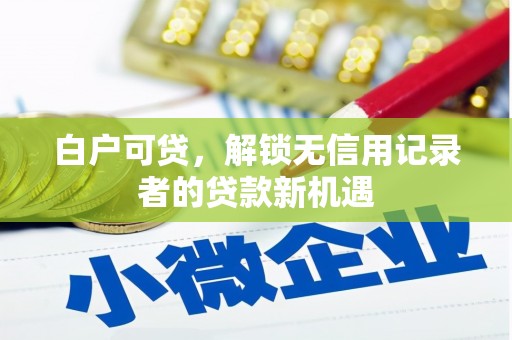 新疆白户可贷，解锁无信用记录者的贷款新机遇