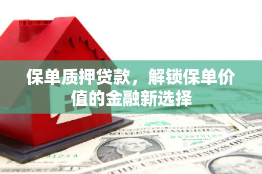 南岔保单质押贷款，解锁保单价值的金融新选择