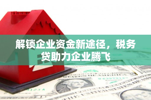 莒南解锁企业资金新途径，税务贷助力企业腾飞