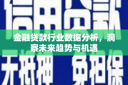 弥渡金融贷款行业数据分析，洞察未来趋势与机遇