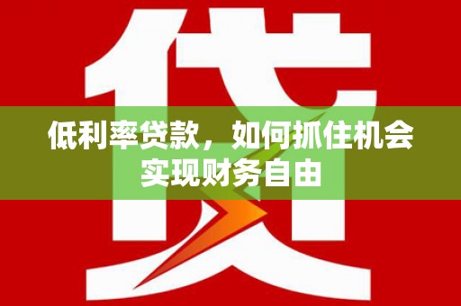 莎车低利率贷款，如何抓住机会实现财务自由