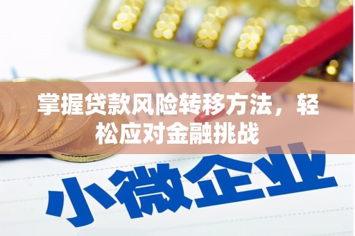 兴仁掌握贷款风险转移方法，轻松应对金融挑战