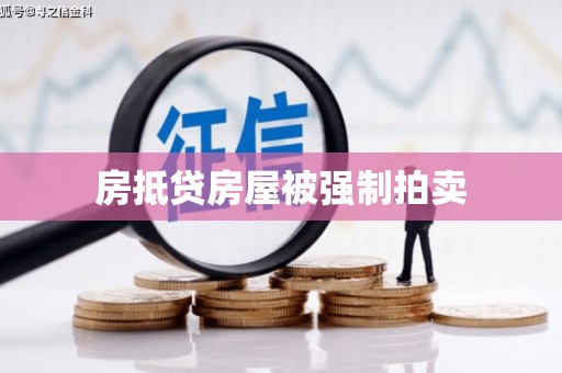宿松房抵贷房屋被强制拍卖