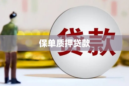 兴国保单质押贷款