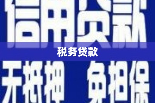 红安税务贷款