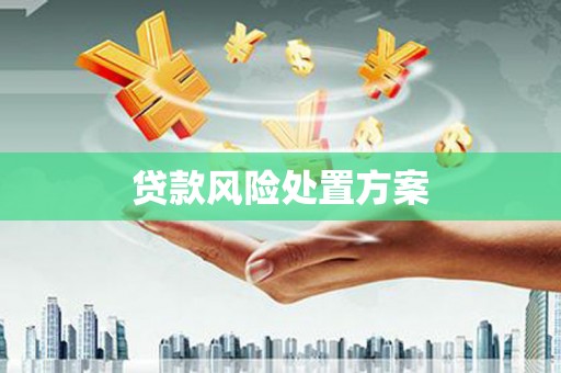 郫县贷款风险处置方案