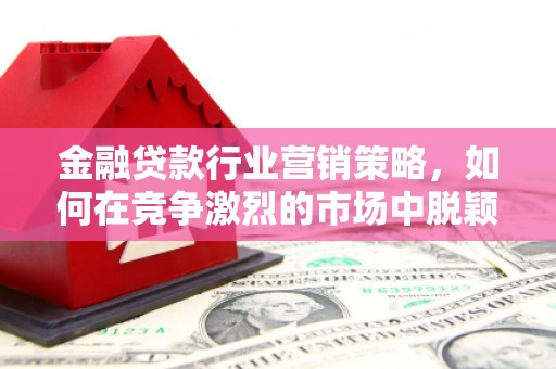福安金融贷款行业营销策略，如何在竞争激烈的市场中脱颖而出