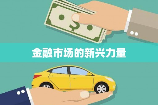 尖石金融市场的新兴力量