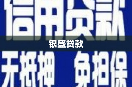 山东银盛贷款
