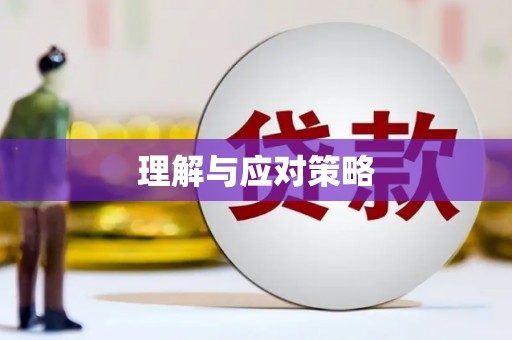 白朗理解与应对策略