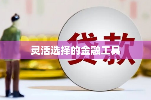 海北灵活选择的金融工具