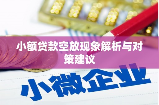 双塔小额贷款空放现象解析与对策建议