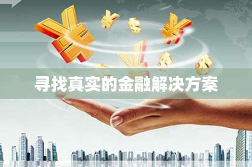 民乐寻找真实的金融解决方案