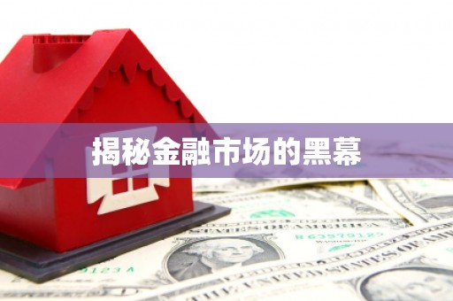 民乐揭秘金融市场的黑幕