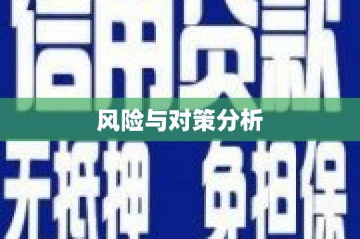 湘西风险与对策分析