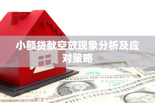 琼海小额贷款空放现象分析及应对策略