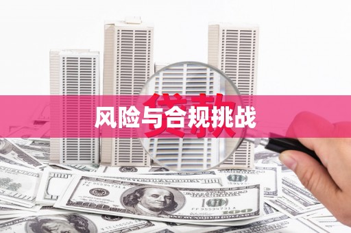 崇仁风险与合规挑战