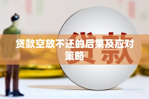 莲花贷款空放不还的后果及应对策略
