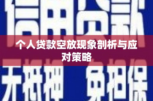 株洲个人贷款空放现象剖析与应对策略