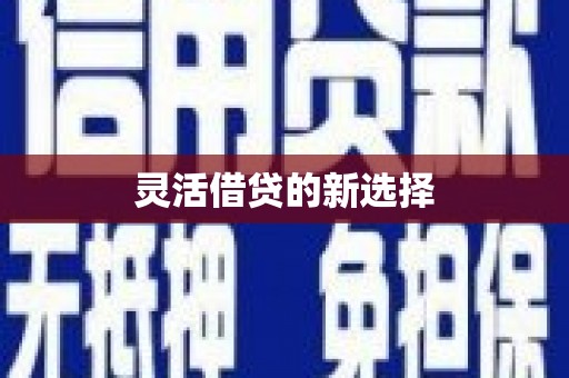 历城灵活借贷的新选择