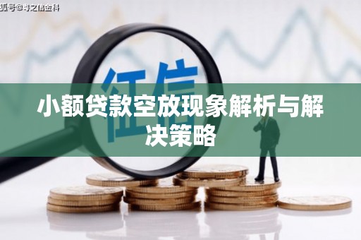 株洲小额贷款空放现象解析与解决策略