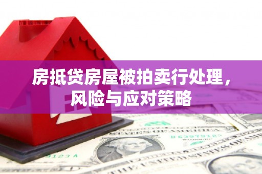 南港房抵贷房屋被拍卖行处理，风险与应对策略