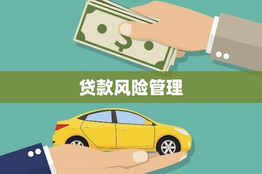 乡城贷款风险管理