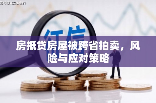 乡城房抵贷房屋被跨省拍卖，风险与应对策略
